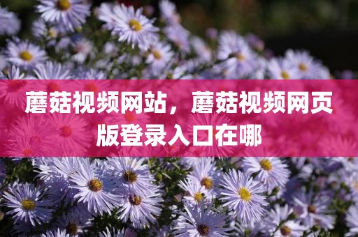 蘑菇视频网站，蘑菇视频网页版登录入口在哪