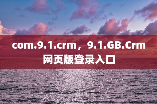 com.9.1.crm，9.1.GB.Crm网页版登录入口