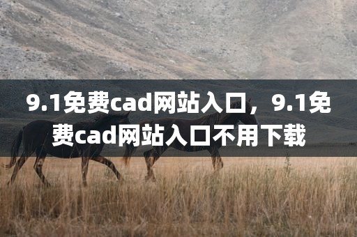 9.1免费cad网站入口，9.1免费cad网站入口不用下载