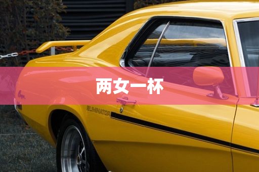 两女一杯