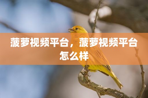 菠萝视频平台，菠萝视频平台怎么样