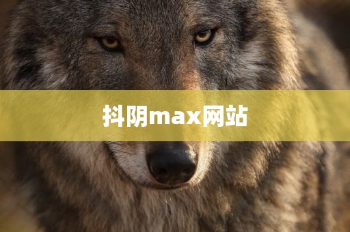抖阴max网站