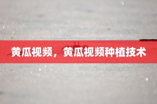 黄瓜视频，黄瓜视频种植技术