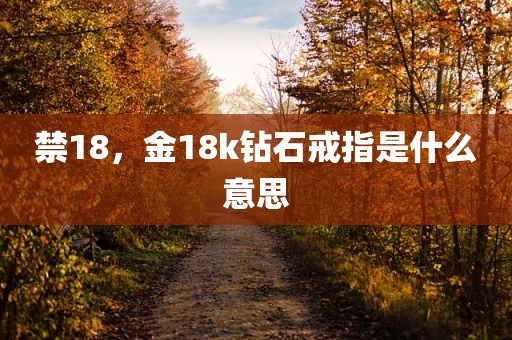 禁18，金18k钻石戒指是什么意思