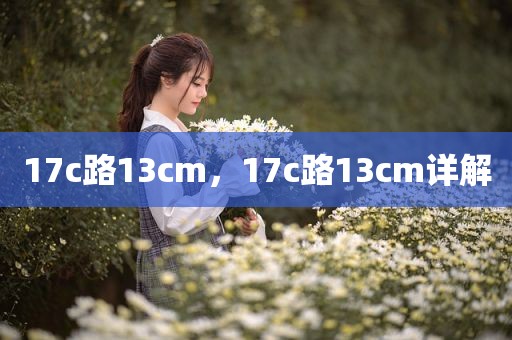 17c路13cm，17c路13cm详解