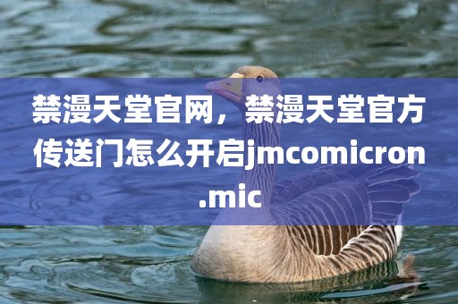 禁漫天堂官网，禁漫天堂官方传送门怎么开启jmcomicron.mic