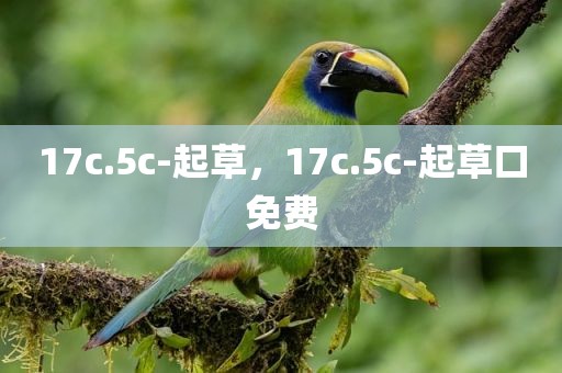 17c.5c-起草，17c.5c-起草口免费