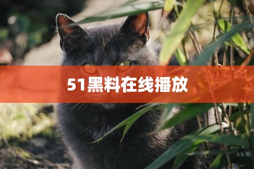 51黑料在线播放