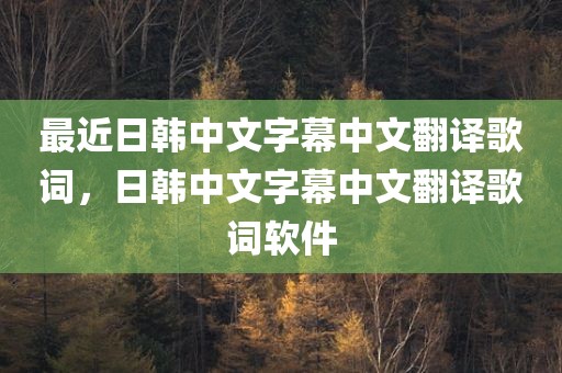 最近日韩中文字幕中文翻译歌词，日韩中文字幕中文翻译歌词软件