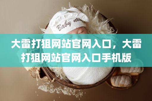 大雷打狙网站官网入口，大雷打狙网站官网入口手机版