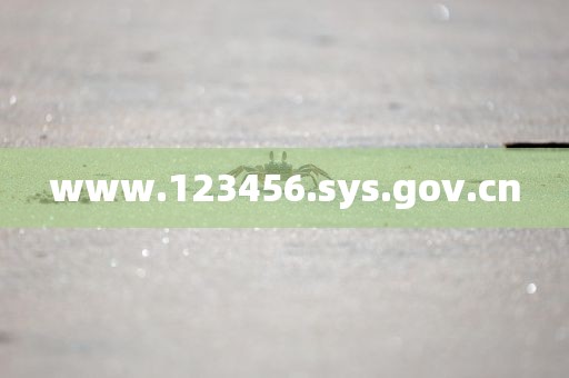 www.123456.sys.gov.cn