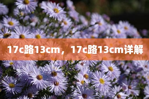 17c路13cm，17c路13cm详解