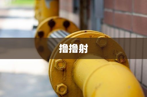 撸撸射