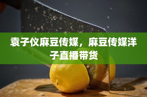 袁子仪麻豆传媒，麻豆传媒洋子直播带货