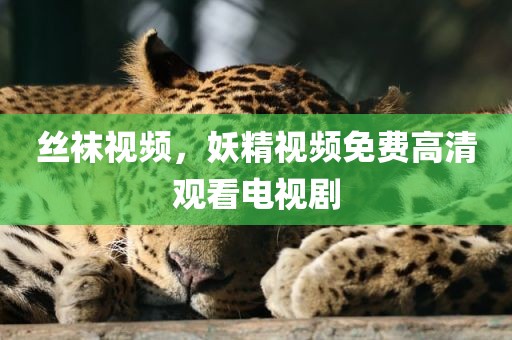 丝袜视频，妖精视频免费高清观看电视剧