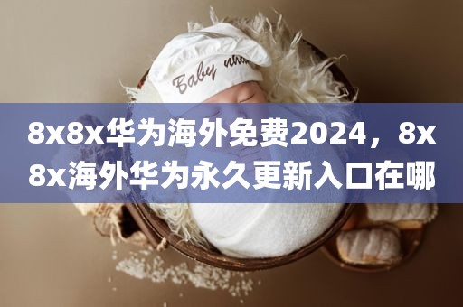 8x8x华为海外免费2024，8x8x海外华为永久更新入口在哪