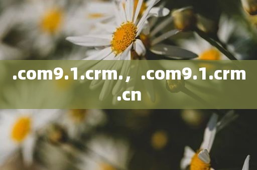 .com9.1.crm.，.com9.1.crm.cn