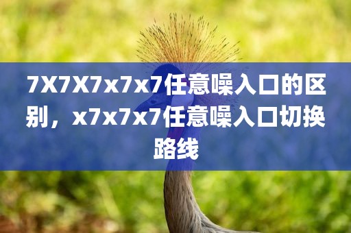 7X7X7x7x7任意噪入口的区别，x7x7x7任意噪入口切换路线