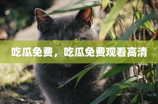 吃瓜免费，吃瓜免费观看高清