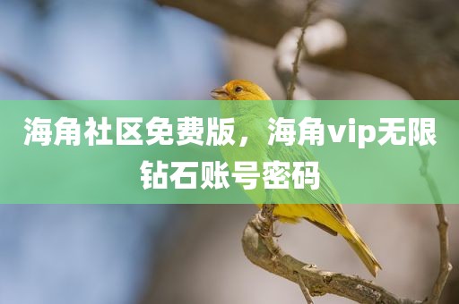 海角社区免费版，海角vip无限钻石账号密码