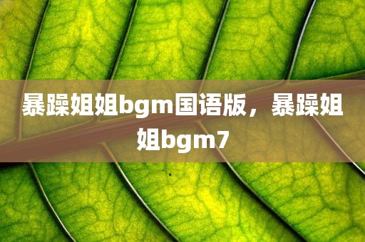 暴躁姐姐bgm国语版，暴躁姐姐bgm7