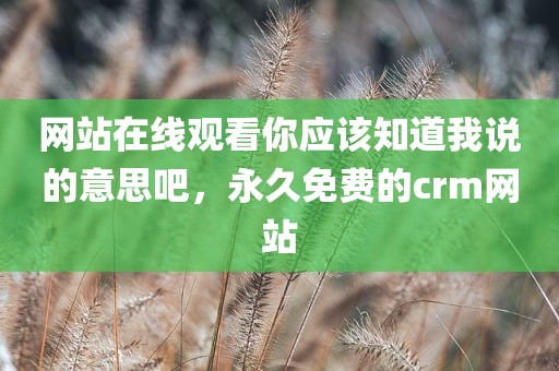 网站在线观看你应该知道我说的意思吧，永久免费的crm网站