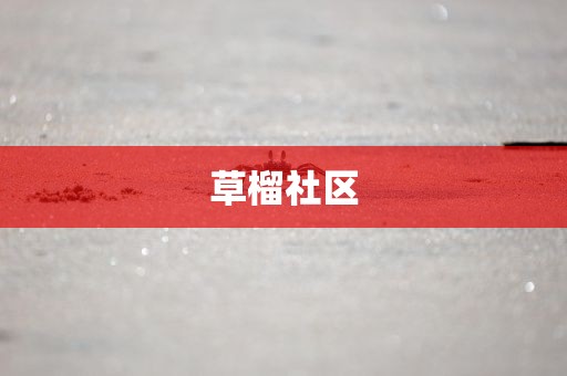 草榴社区