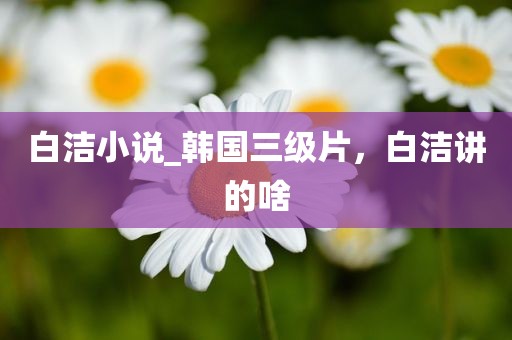 白洁小说_韩国三级片，白洁讲的啥