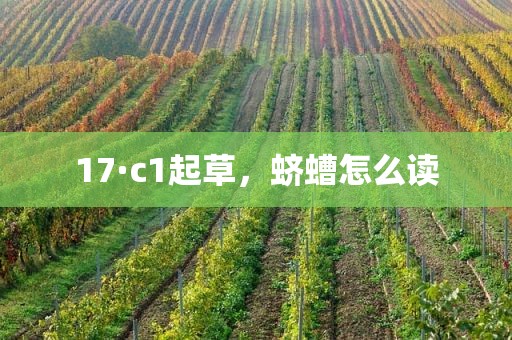 17·c1起草，蛴螬怎么读