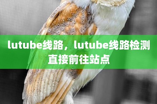 lutube线路，lutube线路检测直接前往站点