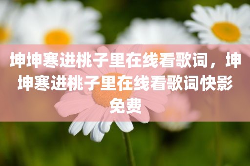坤坤寒进桃子里在线看歌词，坤坤寒进桃子里在线看歌词快影免费