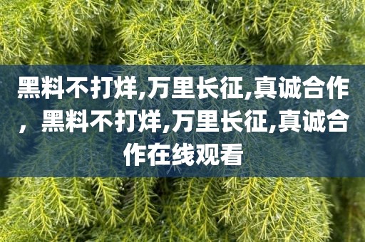 黑料不打烊,万里长征,真诚合作，黑料不打烊,万里长征,真诚合作在线观看