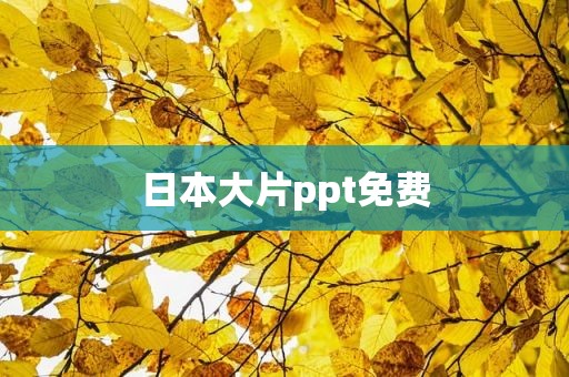 日本大片ppt免费