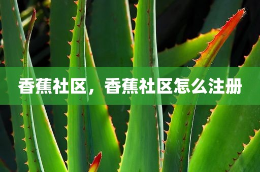 香蕉社区，香蕉社区怎么注册