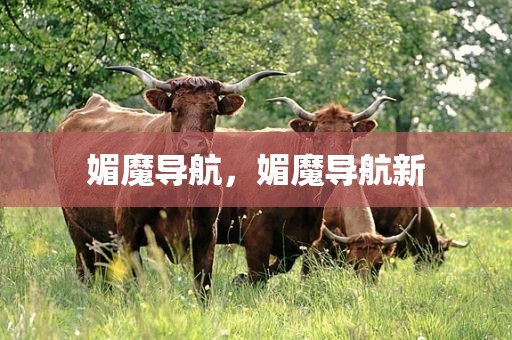媚魔导航，媚魔导航新