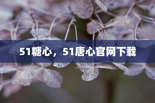 51糖心，51唐心官网下载