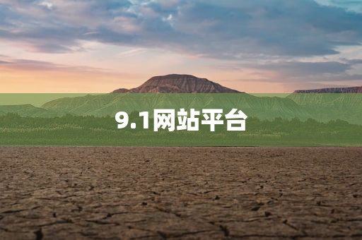 9.1网站平台