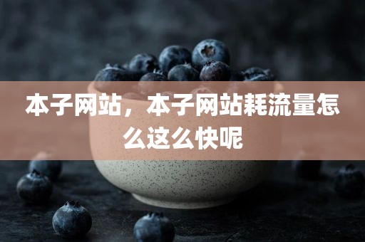 本子网站，本子网站耗流量怎么这么快呢