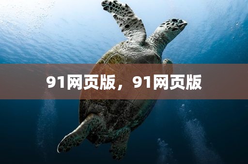 91网页版，91网页版