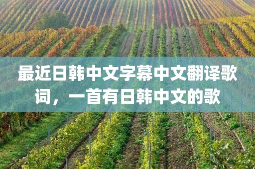最近日韩中文字幕中文翻译歌词，一首有日韩中文的歌