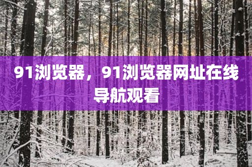 91浏览器，91浏览器网址在线导航观看