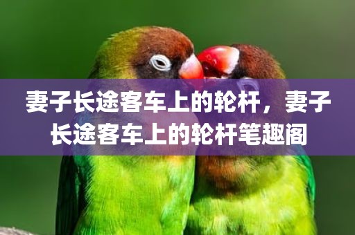 妻子长途客车上的轮杆，妻子长途客车上的轮杆笔趣阁