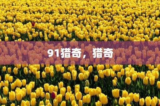 91猎奇，猎奇