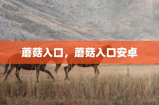 蘑菇入口，蘑菇入口安卓