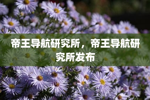 帝王导航研究所，帝王导航研究所发布