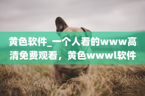 黄色软件_一个人看的www高清免费观看，黄色wwwl软件