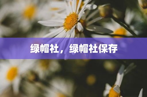 绿帽社，绿帽社保存