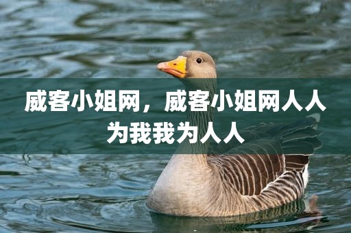 威客小姐网，威客小姐网人人为我我为人人