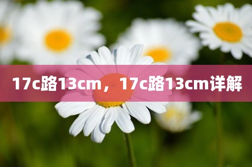 17c路13cm，17c路13cm详解