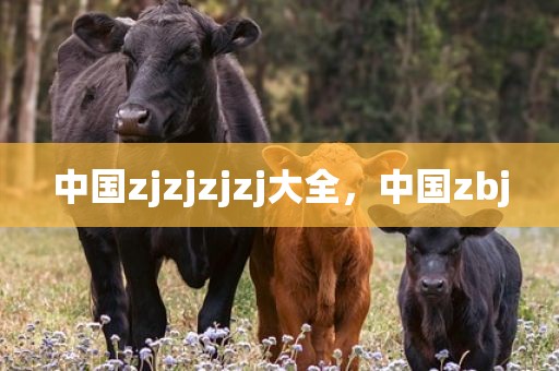 中国zjzjzjzj大全，中国zbj